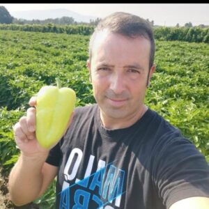 El pimiento, ourensividad verde con sello IXP en Oímbra