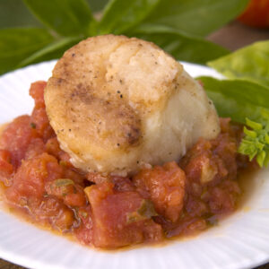 Scallops with tomato and orange sauce